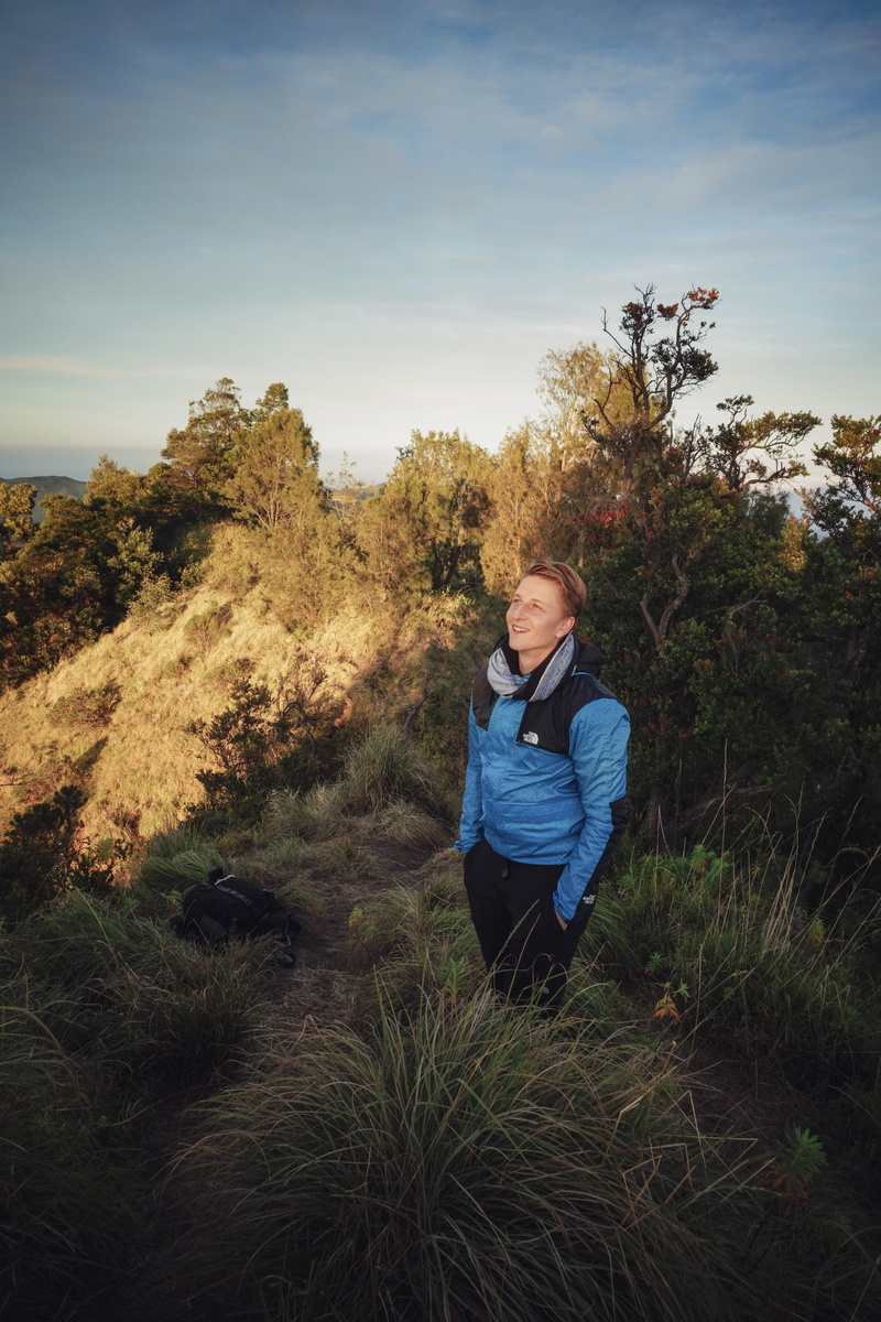 plant, hiking, grass, daytime, tree, mount bromo, sunrise, fascination, person, vegetation, beauty in nature, leisure activity, long sleeve, casual clothing