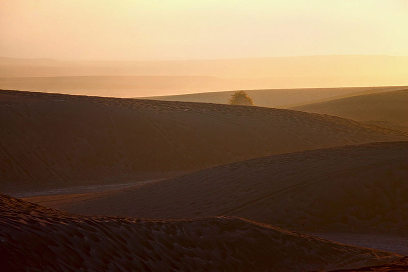 climate, sunset, desert, sand bromo, environment, remote, tranquility, arid climate, land, scenics - nature, mount bromo, yellow, no people, morning, beauty in nature