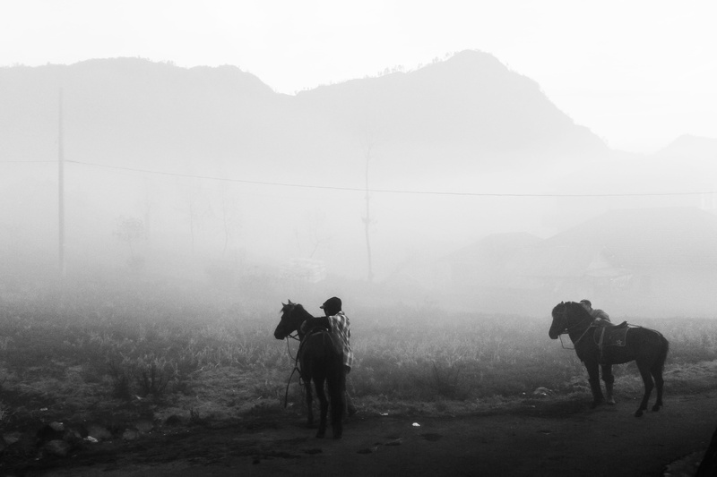 horse, real people, human, leisure activities, outdoors, person, mountain, day, sky, domestic animals, animal, pets, countryside, standing, full length