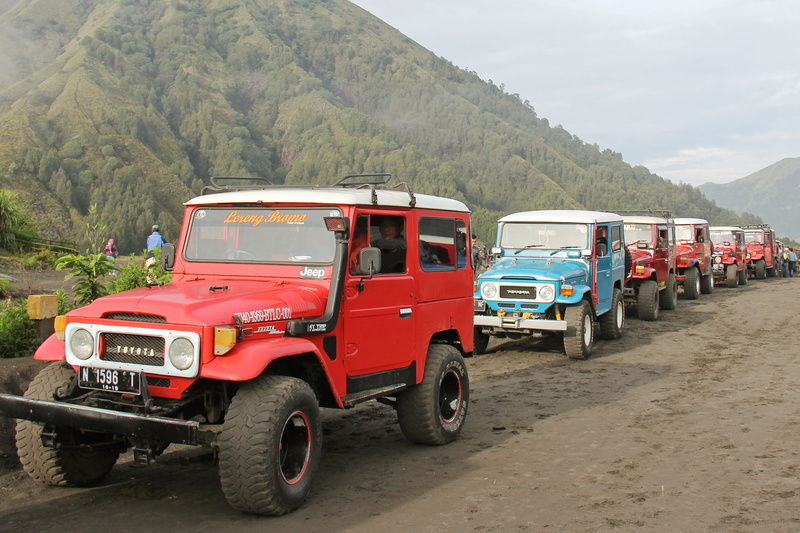driving, off-road vehicle, red, land vehicle, transportation system, jeep, nature, truck, mode of transportation, public transportation, adventure, tree