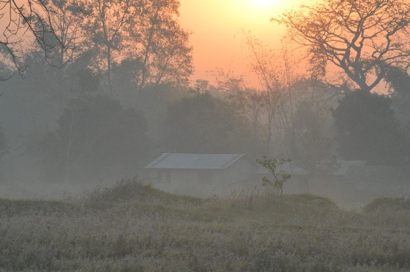 landscape, no people, nature, nepal, sunset, sun, hazy, beauty in nature, sky, tranquil scene, 5K, morning, outdoors, architecture, plant, sunrise, bardia