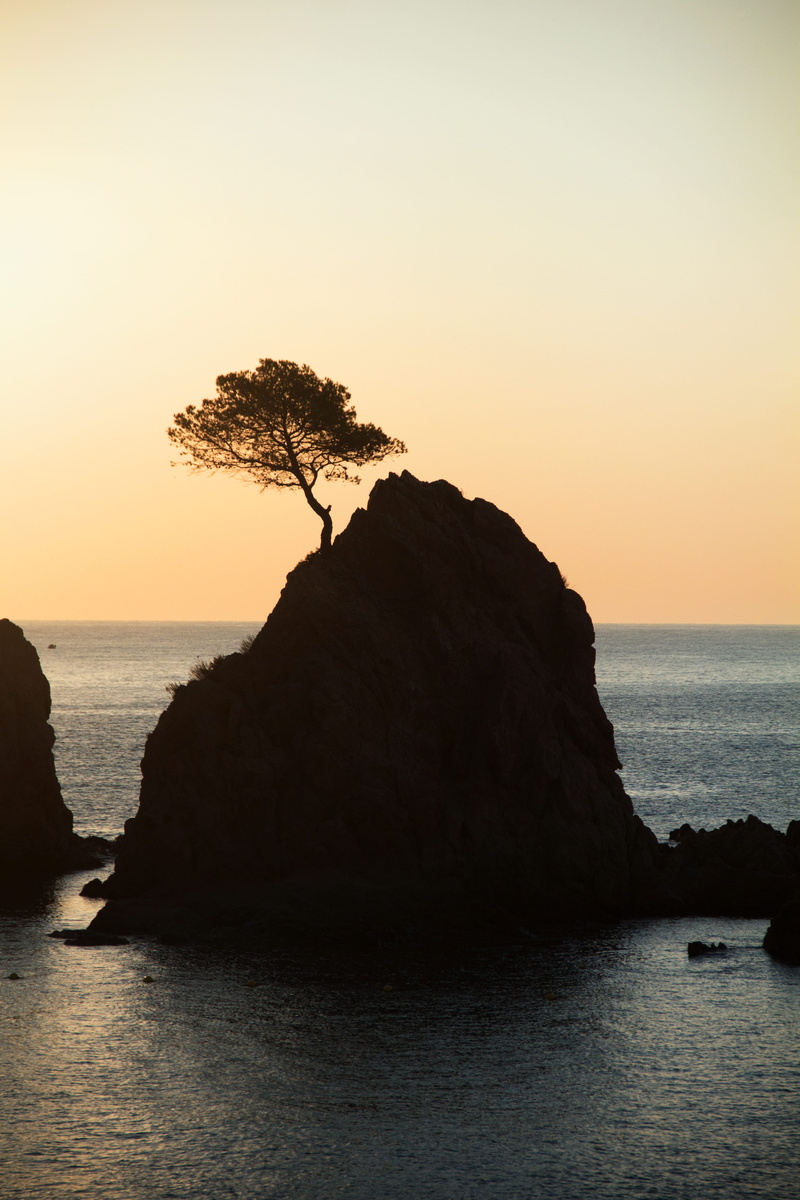 sunlight, seastack, summer, rock - Object, scenics, brown, outdoor, outdoors, seascape, silhouette, landscape, sea, rock, water, nature, no People, coastline