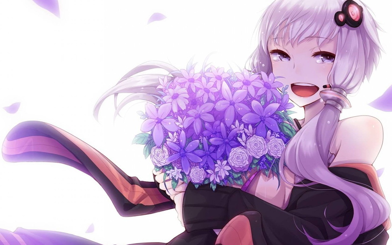 close-up, flower, still life, headwear, plant, costume, no people, fashion, nature, yuzuki yukari v4, freshness, purple, art and craft, flowering plant