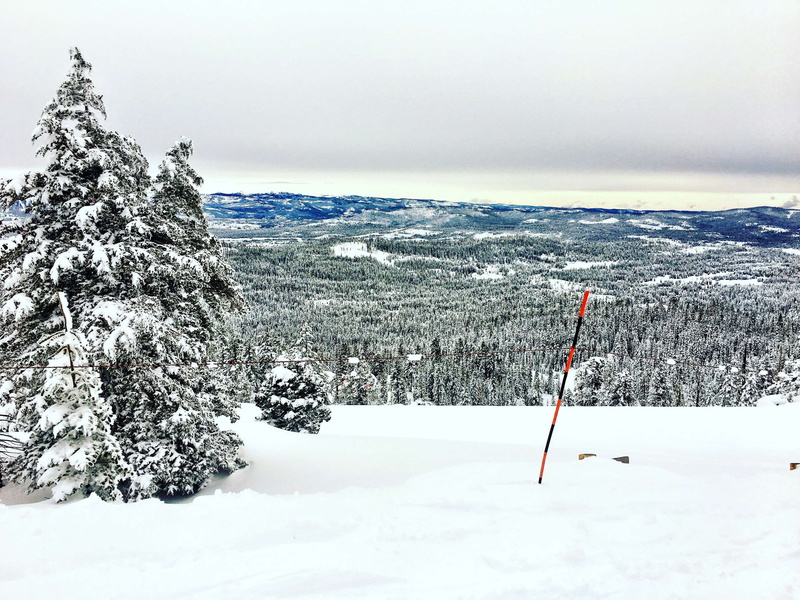 beauty in nature, environment, land, nature, snowboard, lake tahoe, field, ski, tree, snowcapped mountain, white color, mountain, winter, non-urban scene