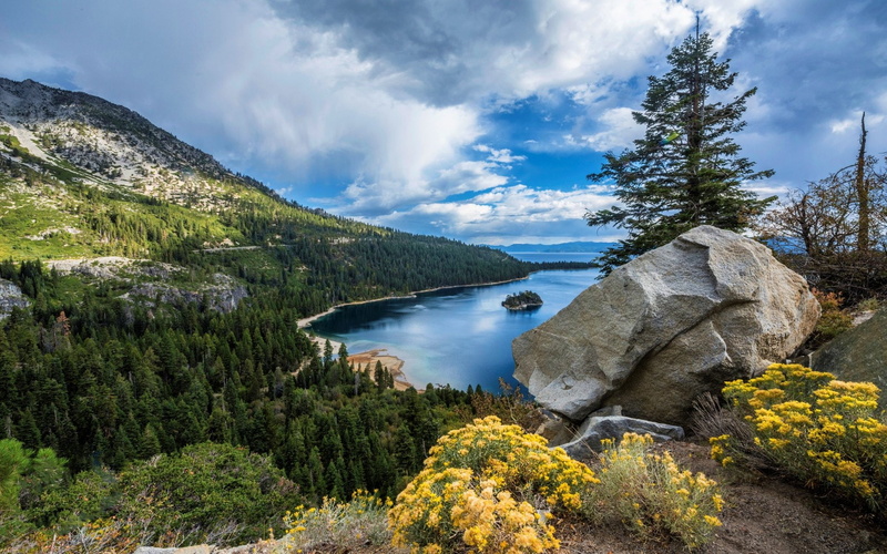 Tree, Earth, Mountain, Lake Tahoe, Forest, 1080P, Lake, Flower, Lakes