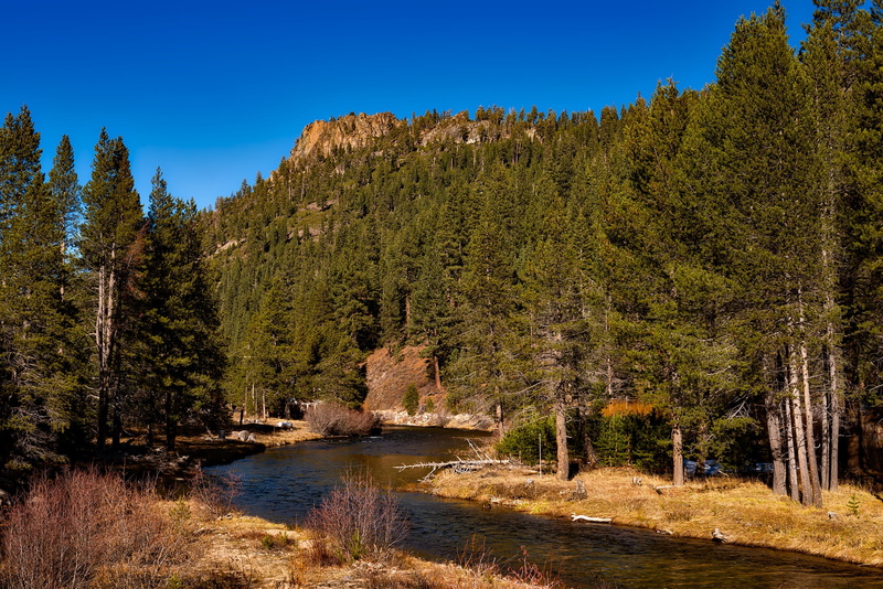 no people, idyllic, woodland, reflections, scenics - nature, lake, camping, nature, growth, beautiful, pine tree, hdr, stream, autumn, tree, beauty in nature