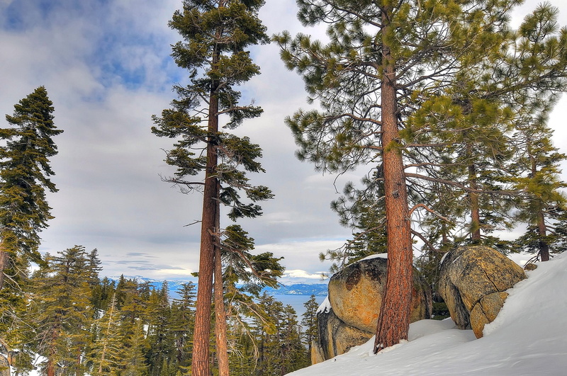 tahoe, rocks, lake, winter, trees, nevada, 1080P, california