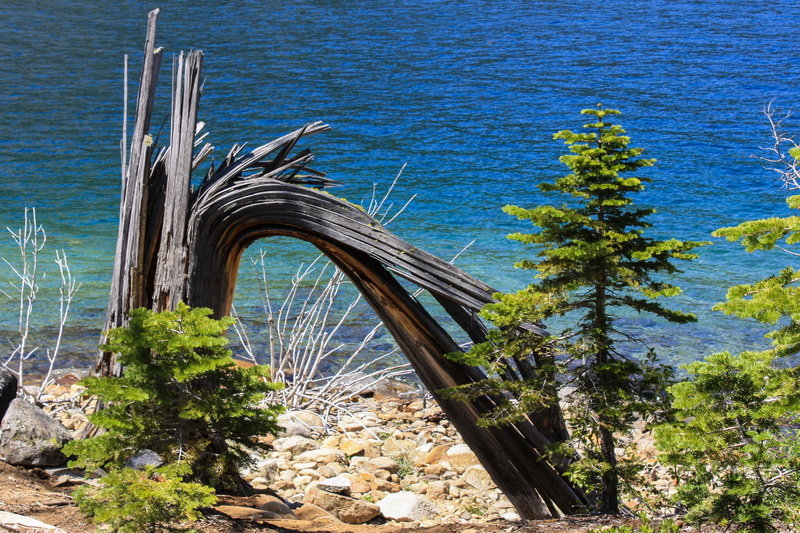 beauty in nature, nature, no people, sunlight, lake tahoe, land, wheel, nautical vessel, landscape, tranquility, tree, scenic, blue, summer, water, mode of transportation