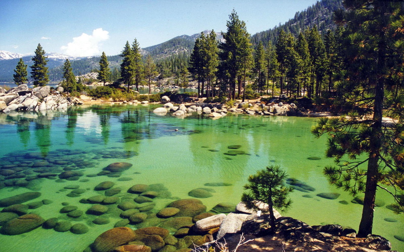 mountain, rock, nature, stones, tranquility, beauty in nature, outdoors, forest, turquoise colored, solid, rock - object, non-urban scene, day, coniferous tree