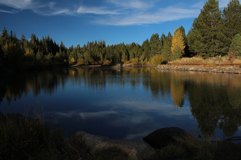 natural, landscape, wilderness, water, 5K, tranquil scene, reflection, lake, pine tree, beauty in nature, non-urban scene, tree, environment, outdoor