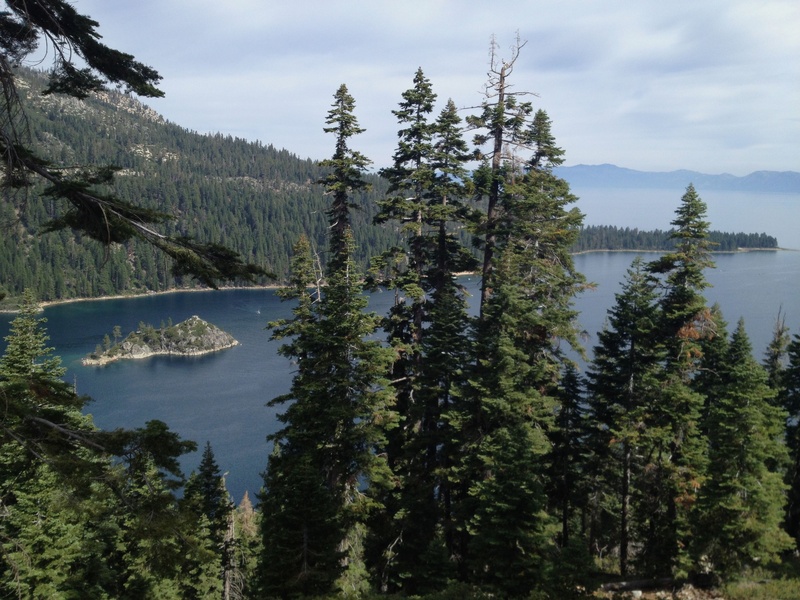 scenics, trees, nature, scenics - nature, blue, scene, coniferous tree, non-urban scene, vacation, mountain, evergreen tree, growth, view, tree, day, destination