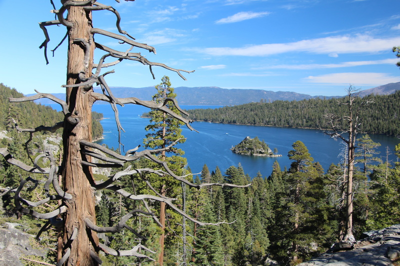scenery, emerald bay, wild, 5K, lake tahoe, cloud - sky, tree, island, growth, tranquility, beauty in nature, tranquil scene, bay, forest views, mountain