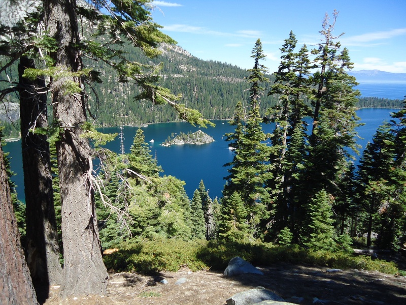 california, sunlight, tranquility, growth, outdoors, sky, water, green color, land, idyllic, emerald bay, non-urban scene, beauty in nature, scenics - nature