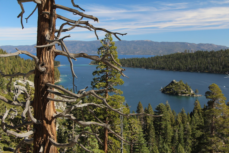 wilderness, nature, green color, landscape, lake, 5K, tranquil scene, scenics, tree trunk, scenics - nature, tranquility, emerald bay, bay, scenic, wild