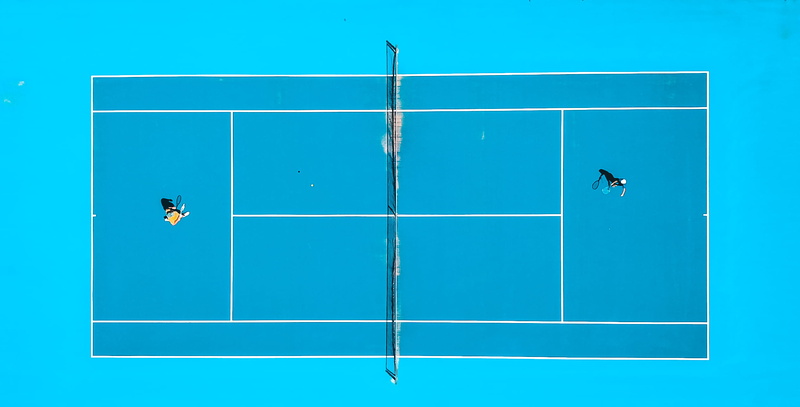 day, sky, adult, blue, person, sport, studio shot, playing, 1080P, photography, directly above, bird, men, nature, aerial, tennis, eye, communication
