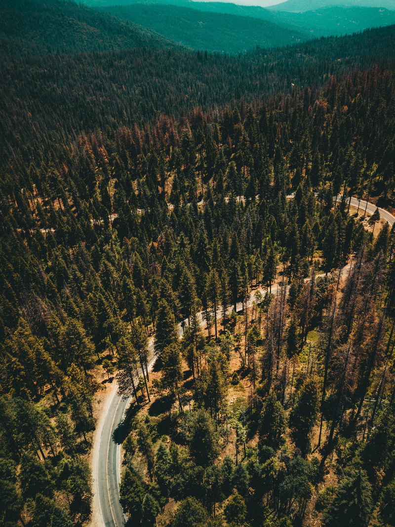 tranquility, aerial, mountain, lock screen background, growth, yosemite, californium, non-urban scene, road, forest, no people, transportation, green color