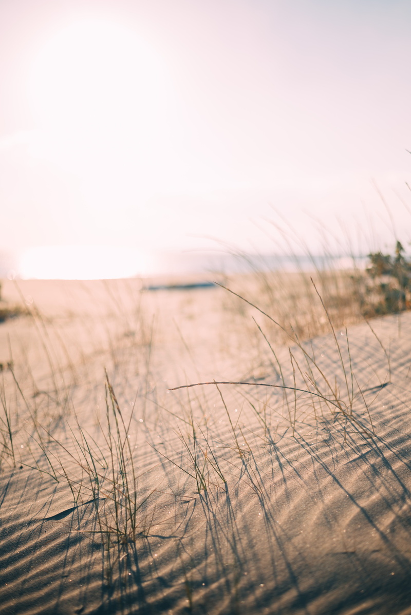 outdoors, non-urban scene, natura, plant, grass, beauty, tranquil scene, sand, tranquility, iphone backgrounds, growth, nature, untitled, no people, sky