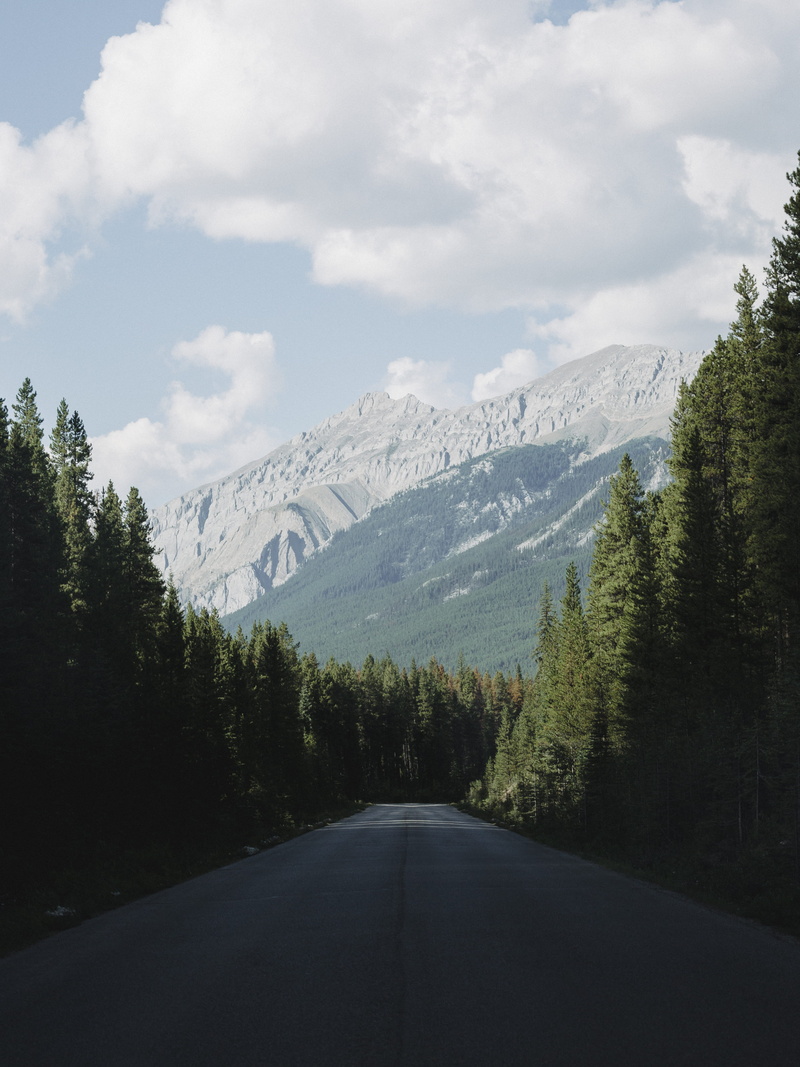 the way forward, no people, gray, winter, daytime, range, green, concrete, landscape, growth, mountain range, tranquil scene, tranquility, sky, scenics - nature