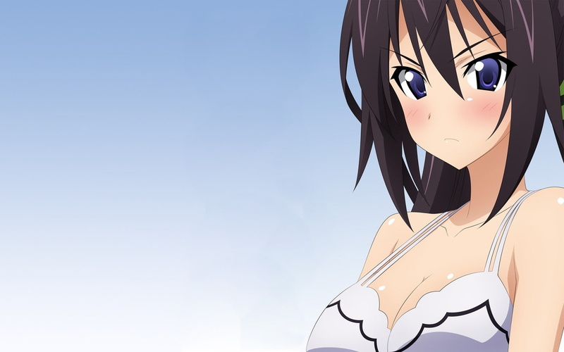 clear sky, real people, nature, Infinite Stratos, human representation, anime, adult, teenager, copy space, sky, glasses, blue, one person, lifestyles