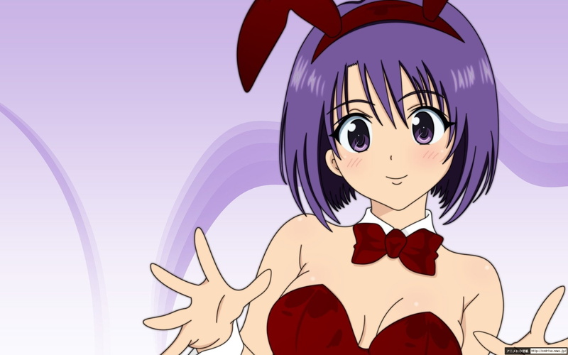 To Love-Ru, Anime, 1080P, Haruna Sairenji