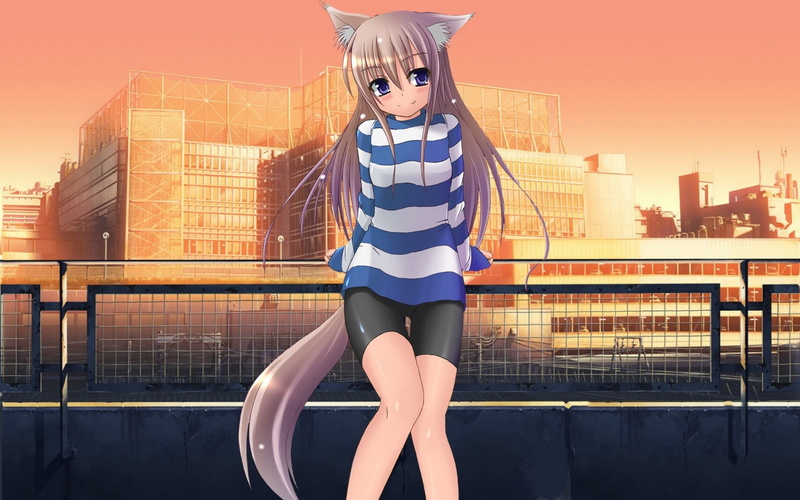 inumimi, 1080P, original characters, anime, anime girls