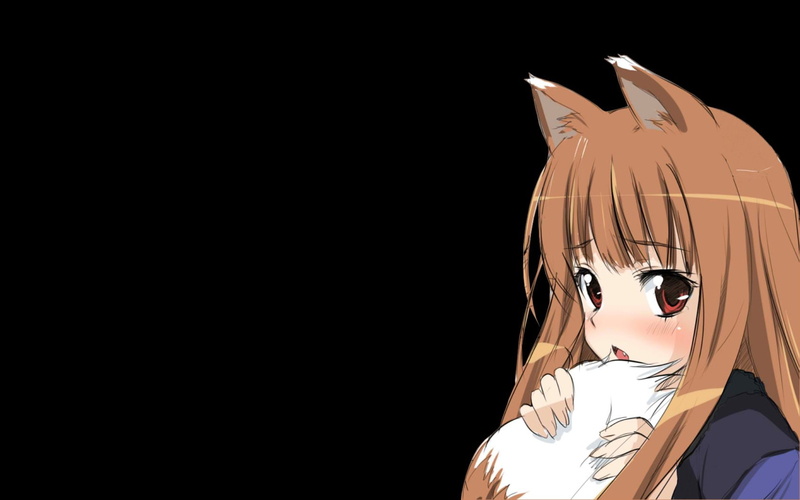 animal, inumimi, spice, wolf, ears, simple, holo, 720P, background, wise