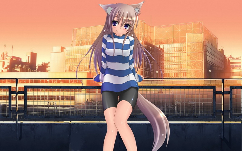 standing, adult, Original Characters, sky, obscured face, architecture, nature, railing, building exterior, illuminated, built structure, Inumimi, Anime Girls