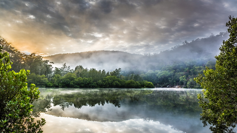 Berowra Creek, 5K, landscape, trees, Australia, nature