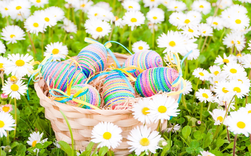 gray, White, Easter, yellow, field, yarn, Flowers, Eggs, Daisies, blue, Spring, daisy, roll, 2K