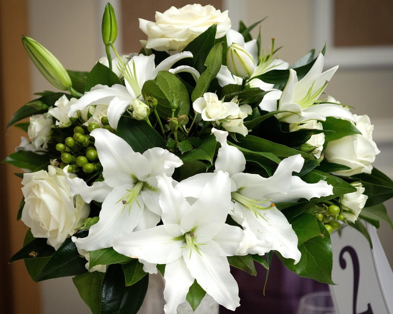720P, lilies, vulnerability, plant, plant part, white color, springtime, freshness, rose - Flower, no people, bunch of flowers, flower arrangement, blossom