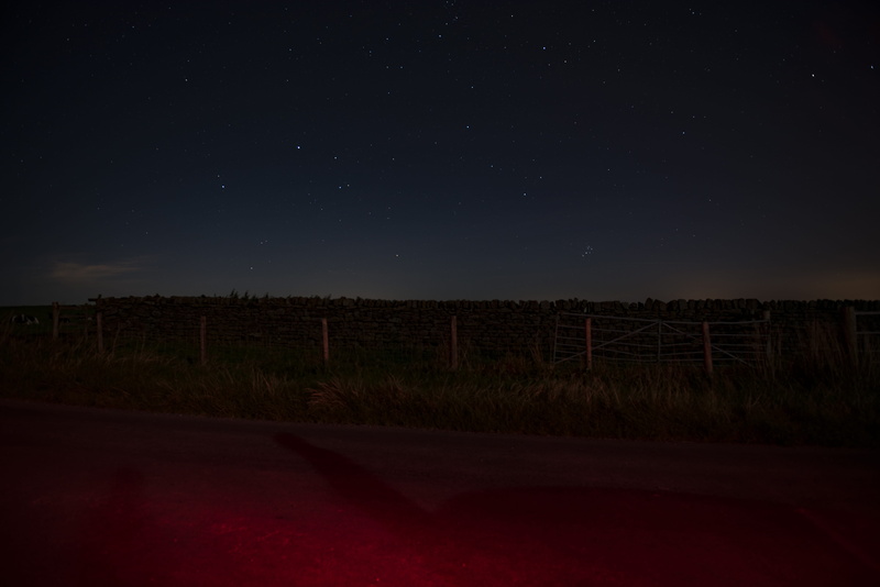 scenics - nature, field, environment, grass, dark, tranquility, night, no people, outdoors, star field, gray, plant, untitled, space, silhouette, nature