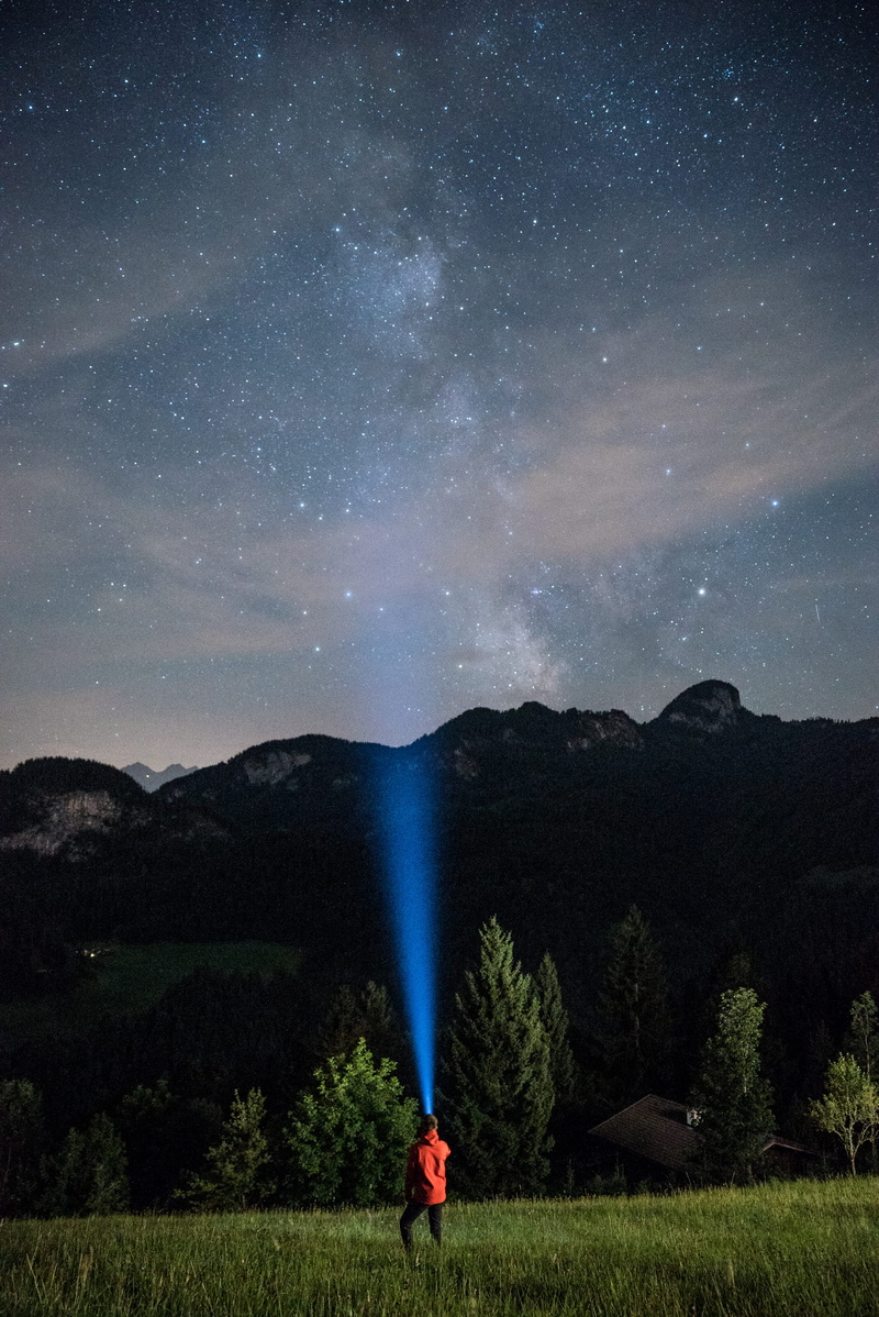 stargazing, plant, green, tranquility, beauty in nature, one person, galaxy, holding, non-urban scene, tree, looking at space, person, sky, standing, nature