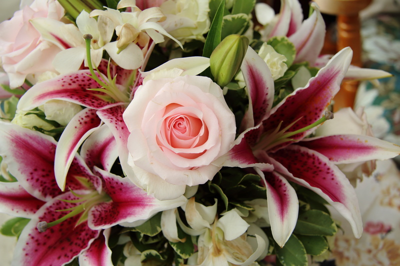 vulnerability, nature, focus on foreground, fragility, flower, inflorescence, flower head, flowering plant, blossom, spring, bouquet of flowers, closeup