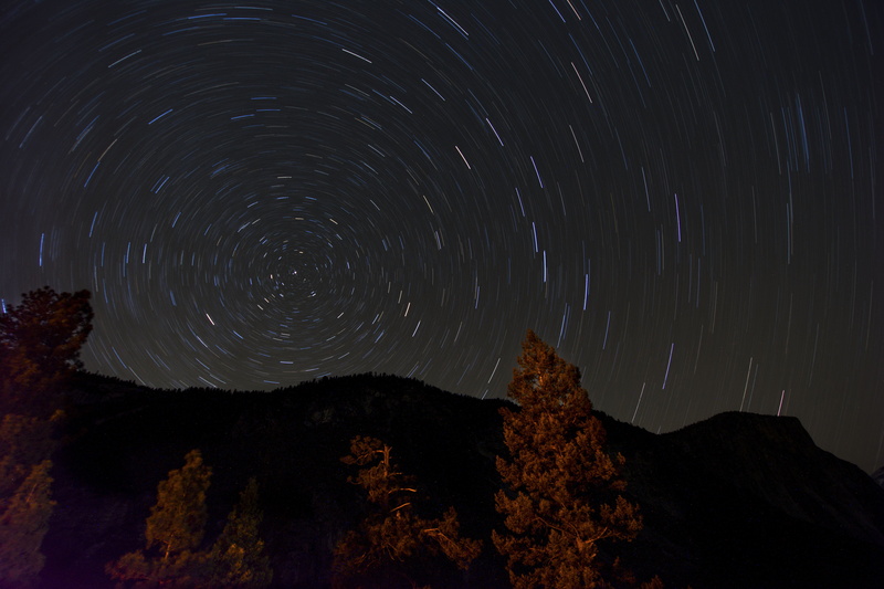 outdoors, forest, night, 5K, woods, scenics - nature, scenics, motion, nature, low angle view, star field, star - space, astronomy, long exposure, photography