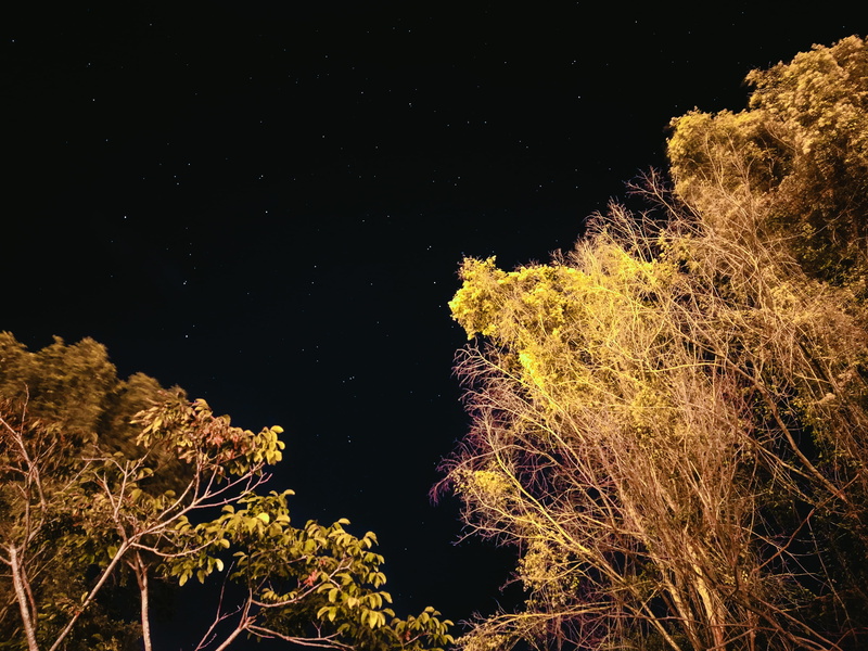 scapes, moonlight, no people, star field, trees, forest, nocturnal, mobile photography, growth, space, dark, night, scenics - nature, 4K, sky, beauty in nature