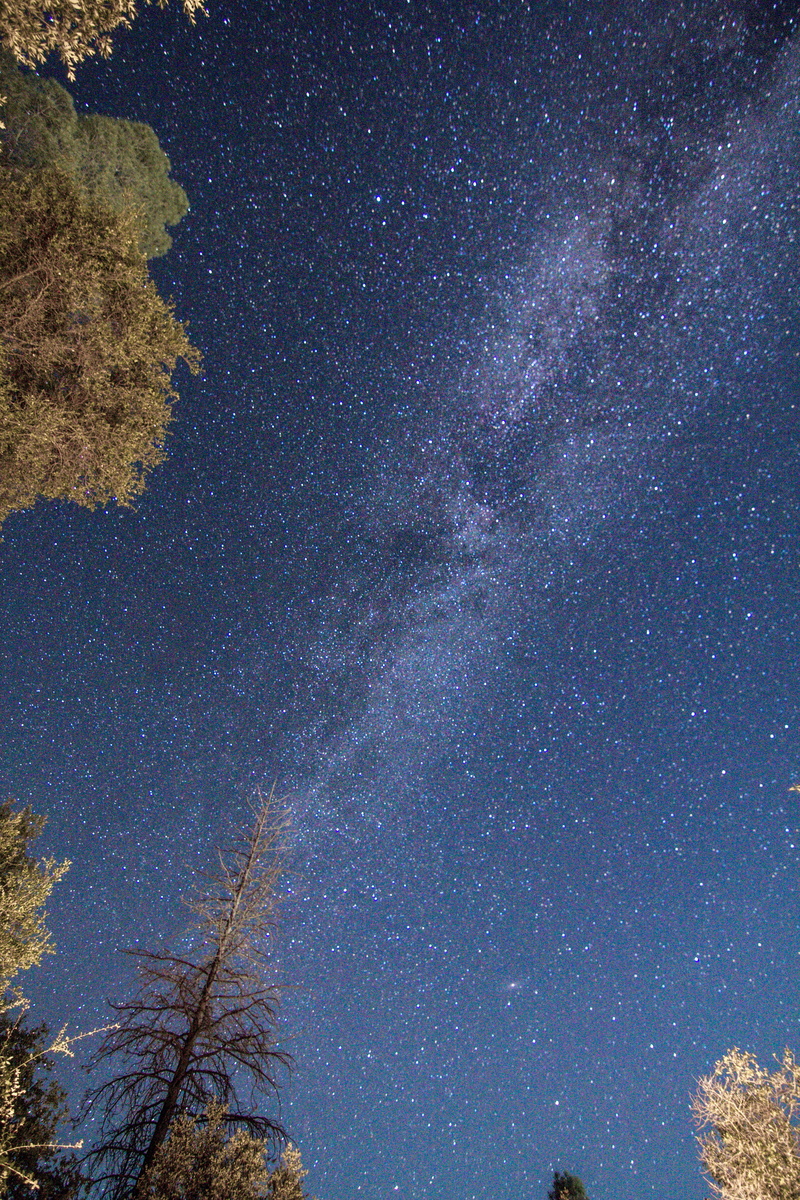 star field, milkyway, tranquility, 5K, idyllic, galaxy, no people, night, outdoors, star - space, nature, trees, space, forest, space and astronomy, california