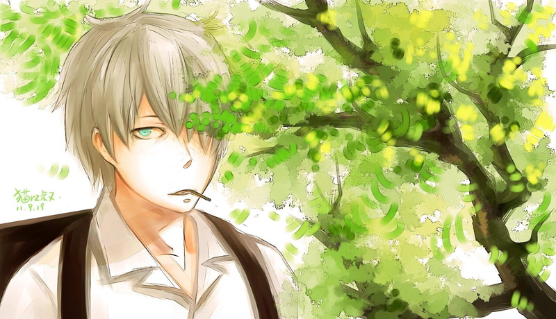 720P, mushishi