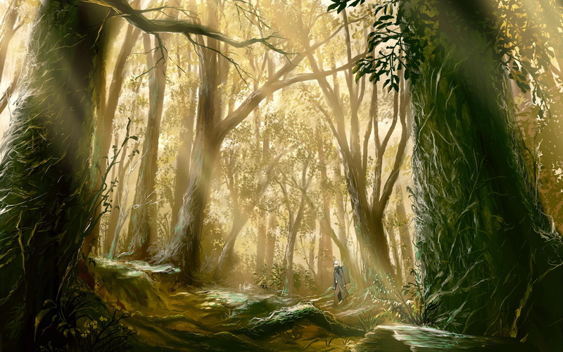 4K, trees, forest, mushishi