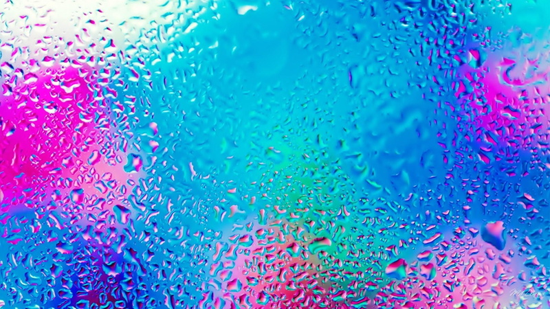 rain, drop, life, rain drops, abstract, water, 1080P, drops