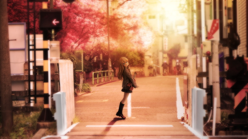 Your Lie in April, 1080P, Kaori Miyazono, Anime