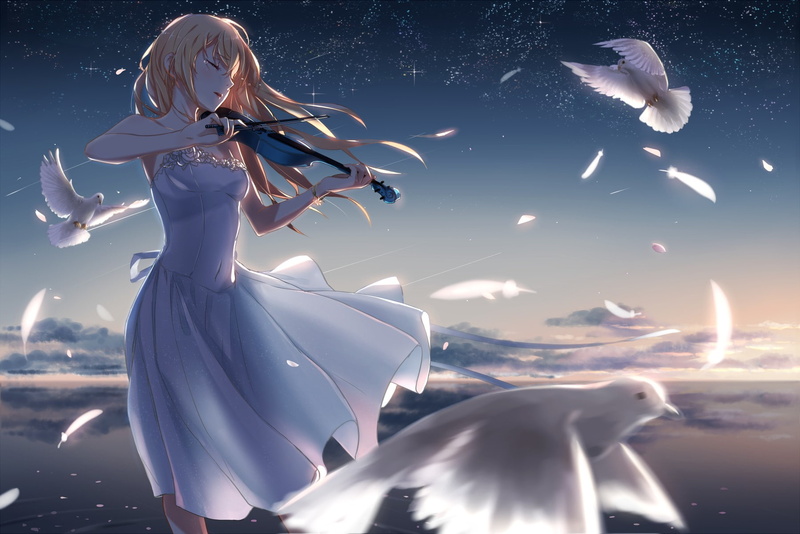 shooting stars, water, tears, long hair, clouds, Miyazono Kaori, anime, flower petals, birds, anime girls, 720P, feathers, violin, Shigatsu wa Kimi no Uso