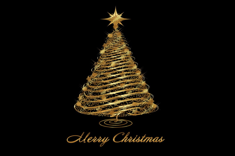 coniferous tree, celebration event, christmas decoration, black background, star shape, night, indoors, plant, holiday - event, Christmas Tree, 1080P