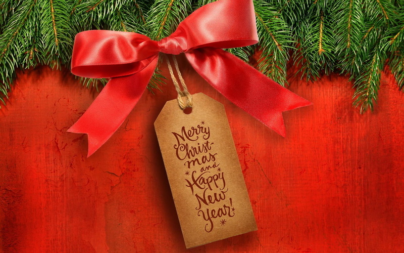 new, congratulation, bow, christmas, year, tree, fur-tree, new year, fur, 1080P