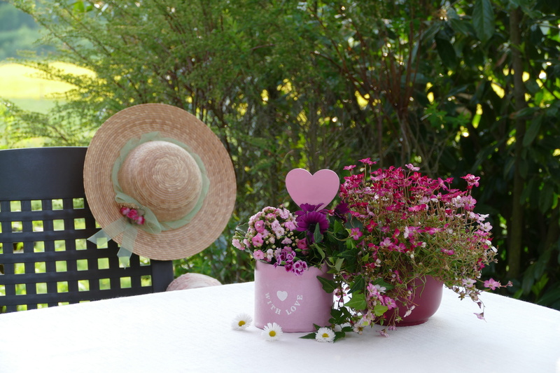 sunlight, nature, romantic, focus on foreground, summer, front or back yard, flower, day, park, mothers day, pink, pink color, no people, beautiful, womens hat