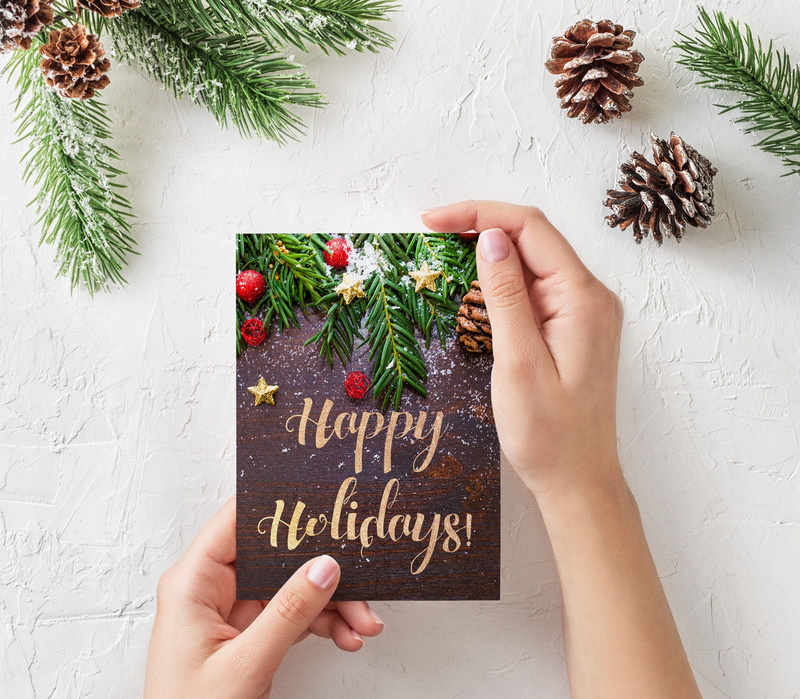 plant, hands holding card, xmas, pine cones, christmas ornament, human body part, wishes, greeting card, person, card, festive, lifestyles, happy, holding