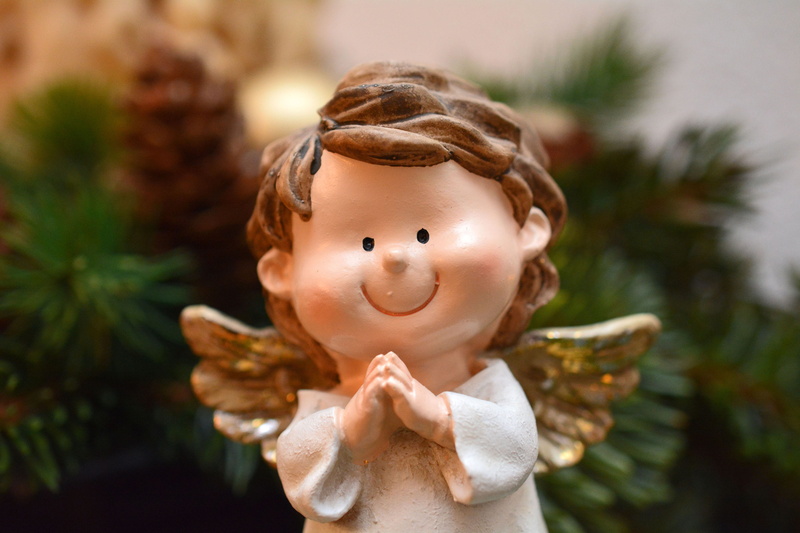 close-up, decoration, day, child, satisfied, christmas, plant, portrait, satisfaction, figurine, pine cones, christmas images, figure, smiling, childhood