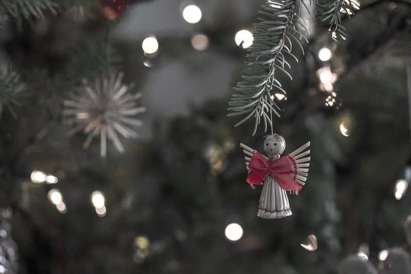 greeting, evergreen, xmas, holiday, merry, decoration, selective focus, nature, fir tree, pine, angel, decorative, night, december, traditional, seasonal