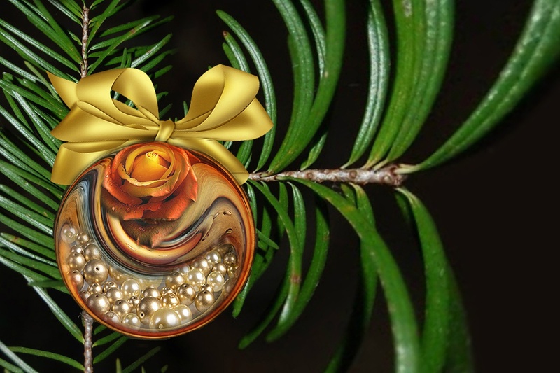 focus on foreground, freshness, 1080P, close-up, festive, xmas, leaf, card, celebration, christmas card, nature, decoration, flowering plant, lighting equipment