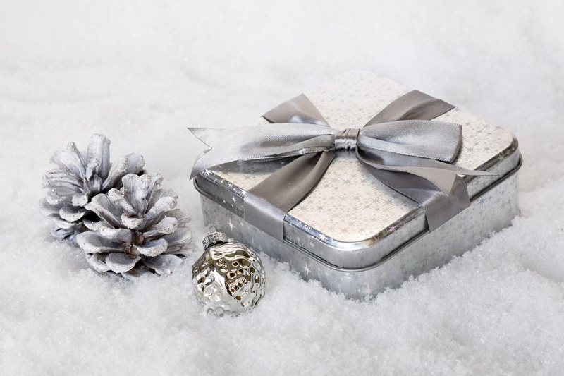 pine cones, gray, christmas images, indoors, grinding, nature, studio shot, merry christmas, gift box, pine, gifts, case, event, winter, silver, made, white color