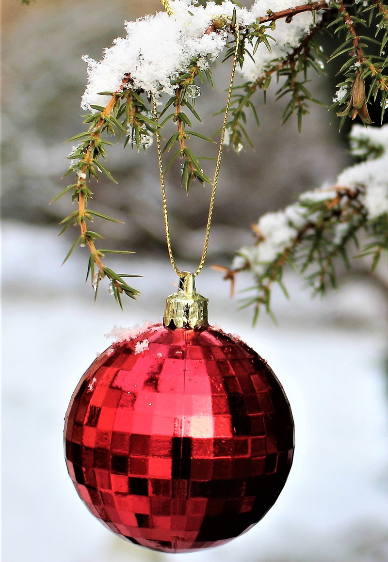 focus on foreground, merry christmas, christmas decorations, december, winter, outdoor, juniper, plant, christmas decoration, holiday - event, shift, christmas